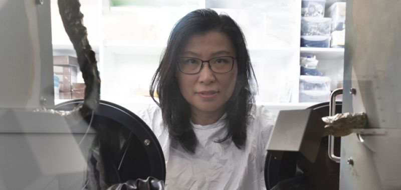 Anita Ho-Baillie is pictured wearing a white lab coat and glasses while working in a laboratory at the University of Sydney. She is smiling at the camera and surrounded by machinery.