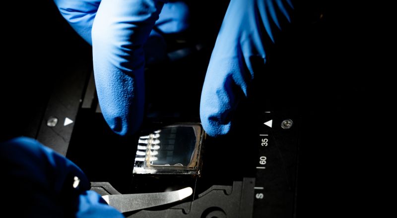 A blue gloved hand positions a back-contact solar cell on a testing device